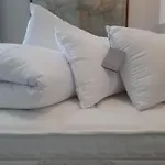 Πανσιόν Fiorentino 3*