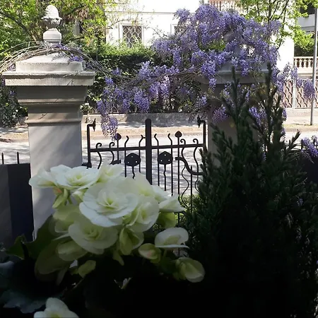 Fiorentino 3* Padova