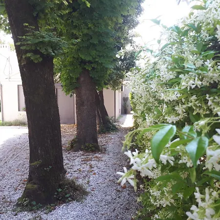 Affittacamere Fiorentino Padova